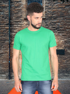 men-s-round-neck-plain-t-shirt-flag-green-regular-fit-t-shirt-GOAT